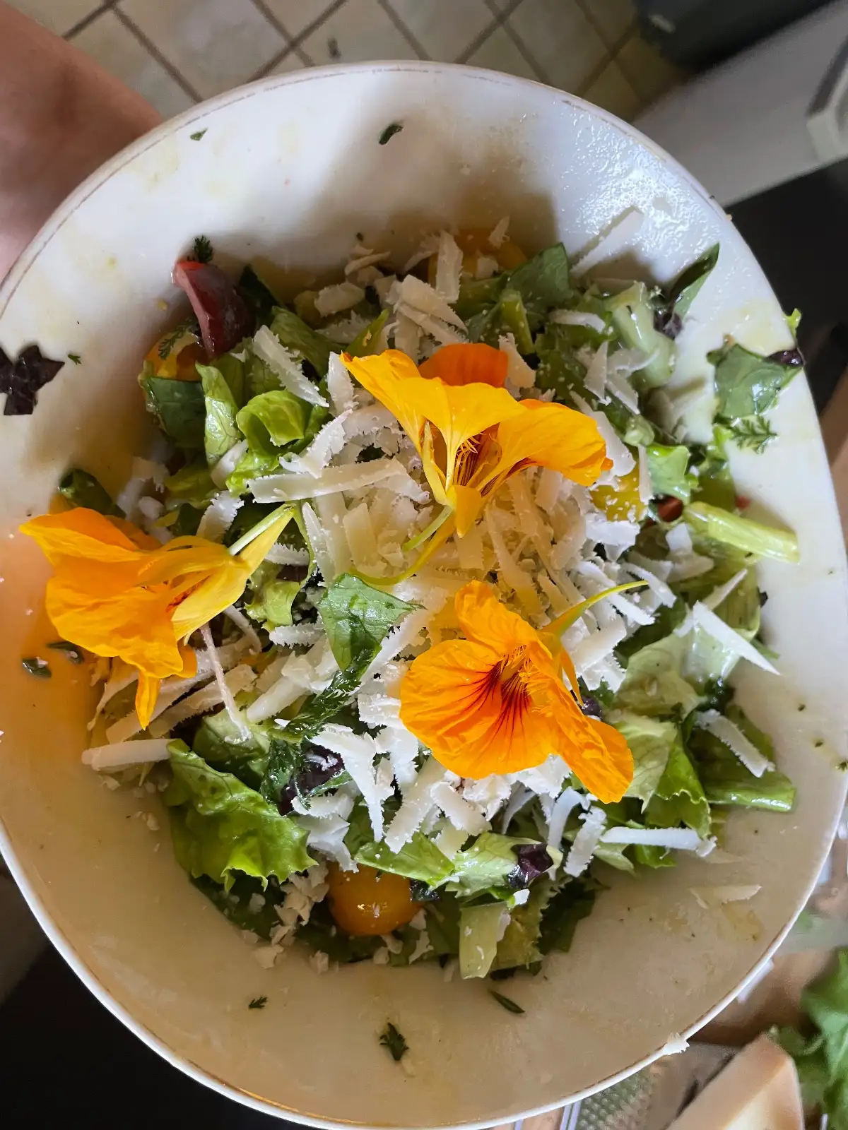 Blumen: Panaschierte Kapuzinerkresse „Lachs“