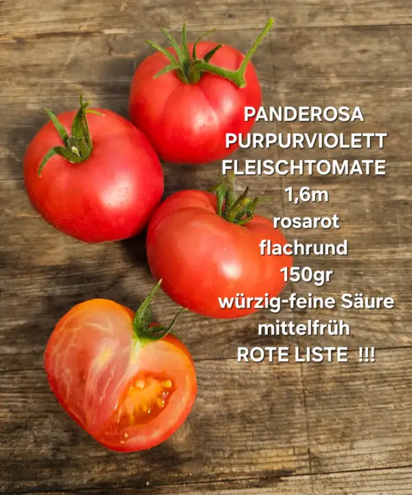 Tomaten: Panderosa Purpurviolett