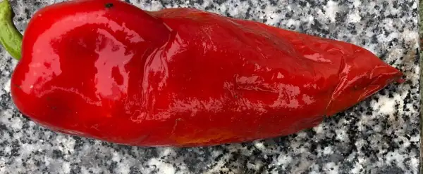 Chili / Paprika: Paprika - Marconi Red