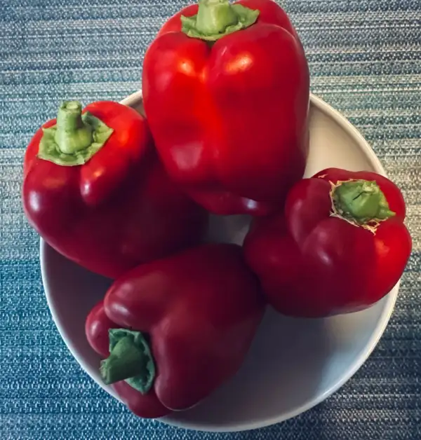 Paprika: Paprika Barkan