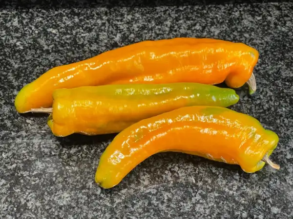 Chili / Paprika: Paprika Bavarian Jumbo