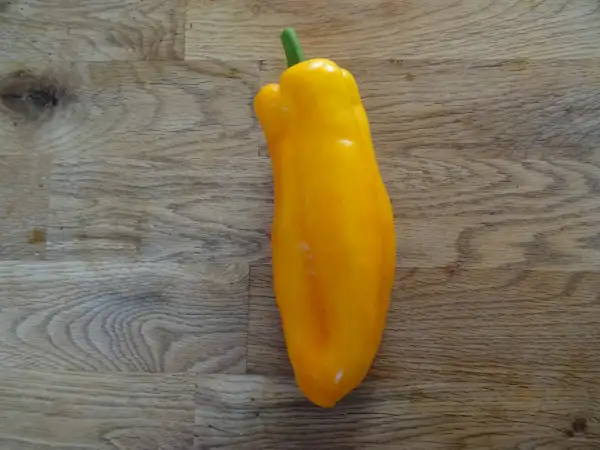 Chili / Paprika: Paprika Corno giallo