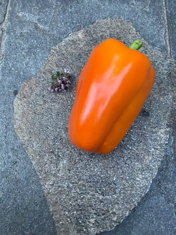 Chili / Paprika: Paprika Cubo Orange