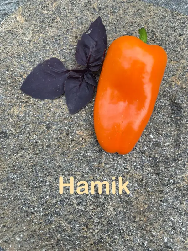 Chili / Paprika: Paprika Hamik