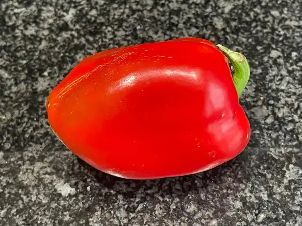 Chili / Paprika: Paprika Infantes