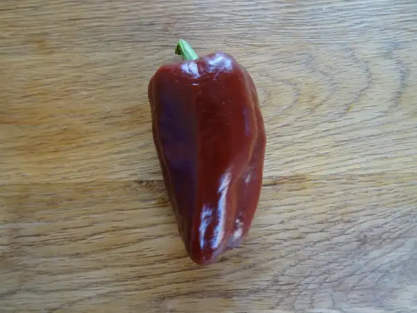 Chili / Paprika: Paprika Karamel