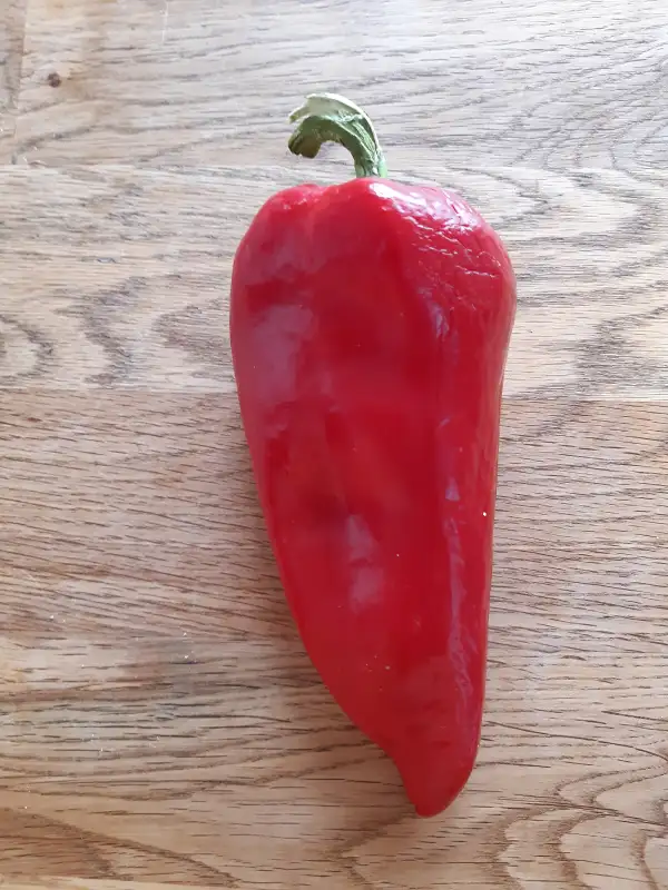 Chili / Paprika: Paprika Karmen