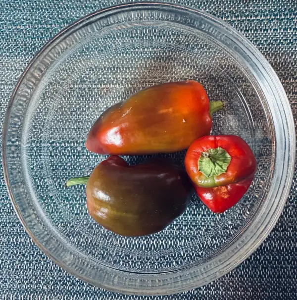 Chili / Paprika: Paprika Rubinova