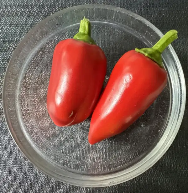 Chili / Paprika: Paprika Sibirischer Fürst