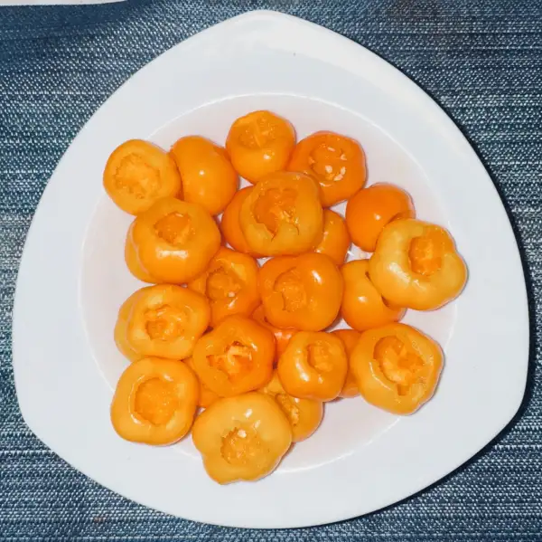 Chili / Paprika: Paprika Sweet Julie