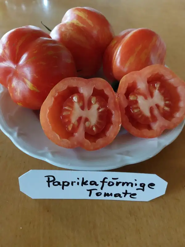 Tomaten: Paprikaförmige Tomate