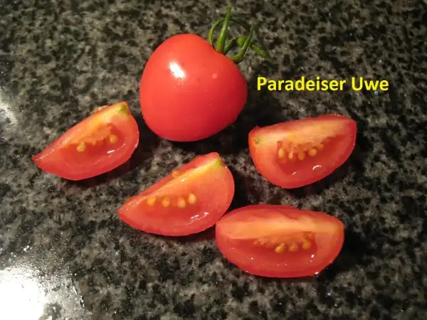 Tomaten: Paradeiser Uwe