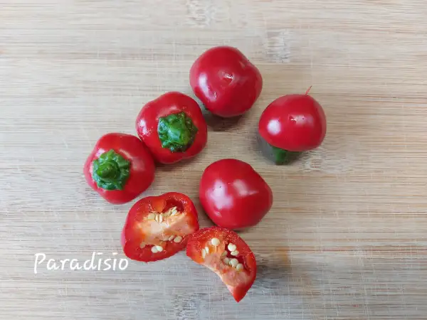 Chili / Paprika: Paradisio