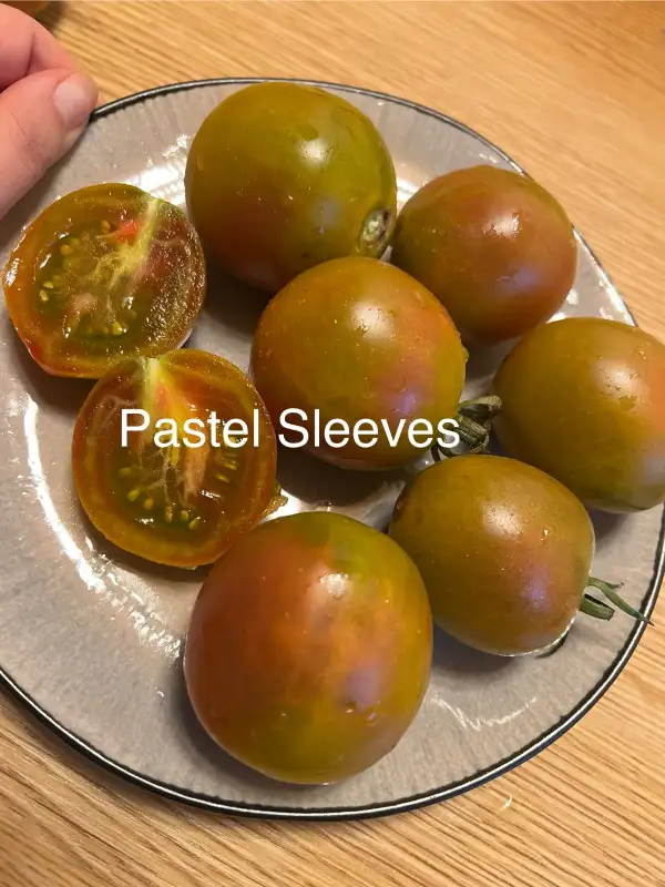 Tomaten: Pastell Sleeves