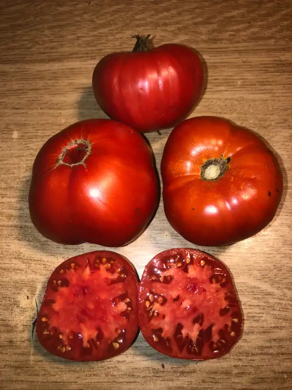 Tomaten: Pata Negra Rizado del Penedès