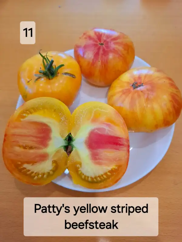 Tomaten: Patty