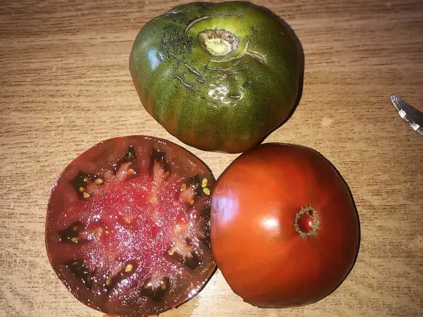 Tomaten: Paul Robeson