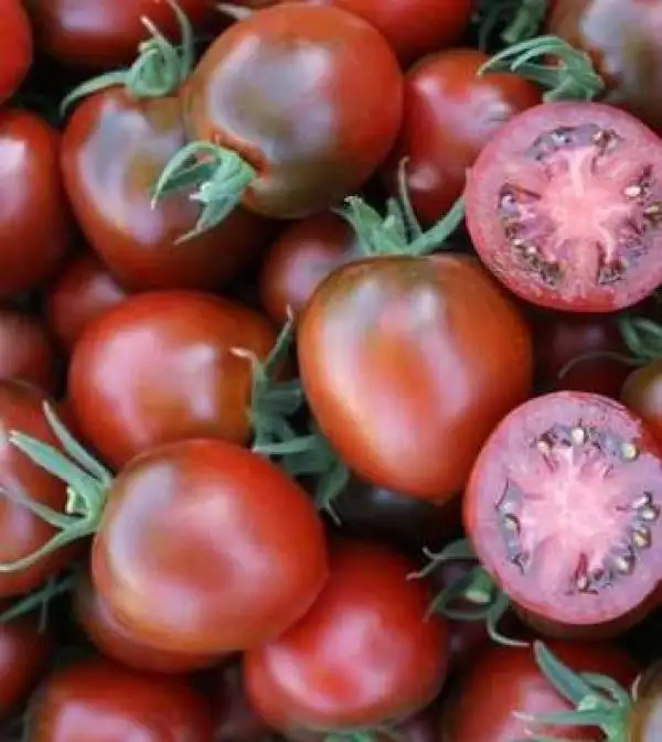 Tomaten: Paul Robeson