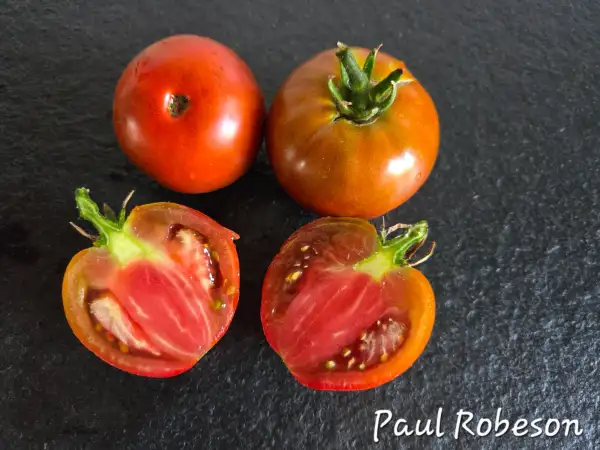 Tomaten: Paul Robeson