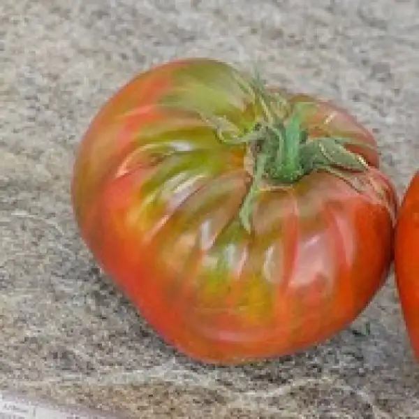 Tomaten: Paul Robeson