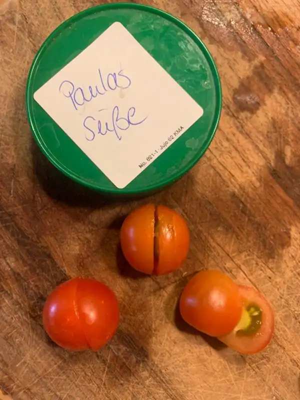 Tomaten: Paulas süsse