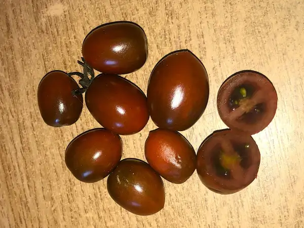 Tomaten: Paulina