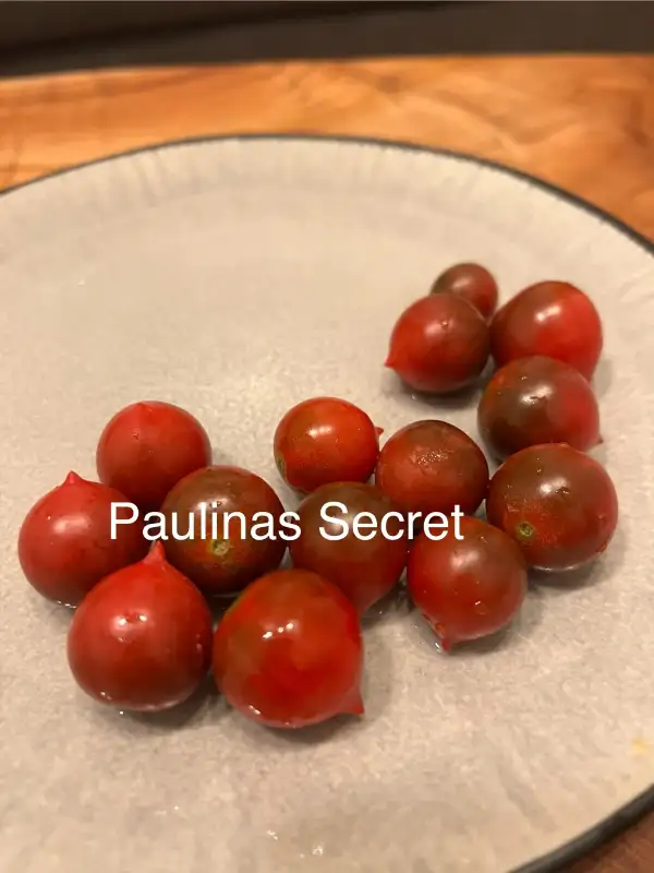 Tomaten: Paulinas Secret