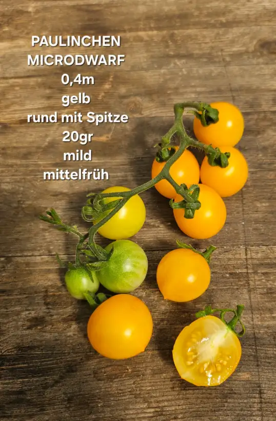 Tomaten: Paulinchen