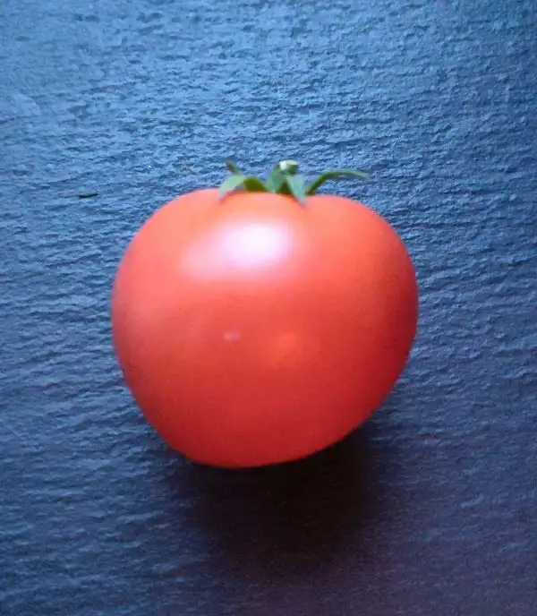 Tomaten: Payette