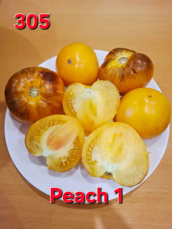 Tomaten: Peach 1
