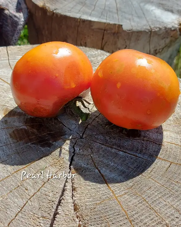 Tomaten: Pearl Harbor