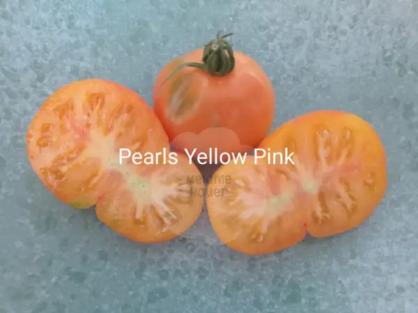 Tomaten: Pearls Yellow Pink