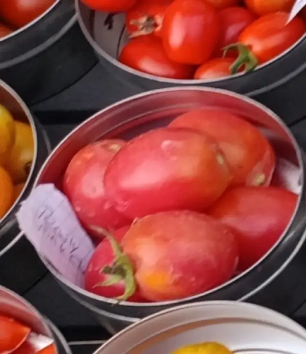 Tomaten: Pearly Pink Cherry