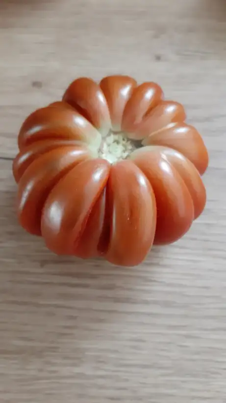 Tomaten: Peated Carnelian