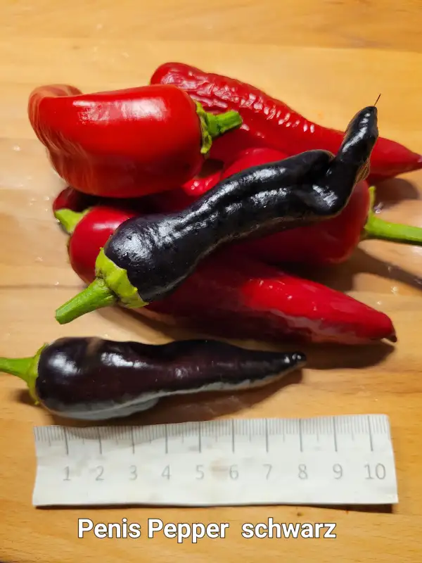 Chili / Paprika: Penis Chili Peter Pepper schwarz	Schärfe:	6	Höhe:	50cm