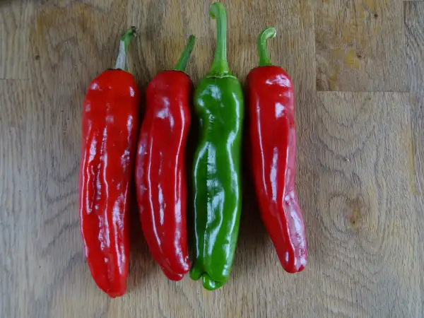 Chili / Paprika: Peperoni Friariello