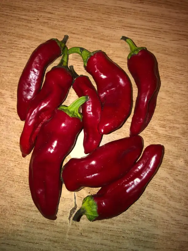 Chili / Paprika: Pepperoncini