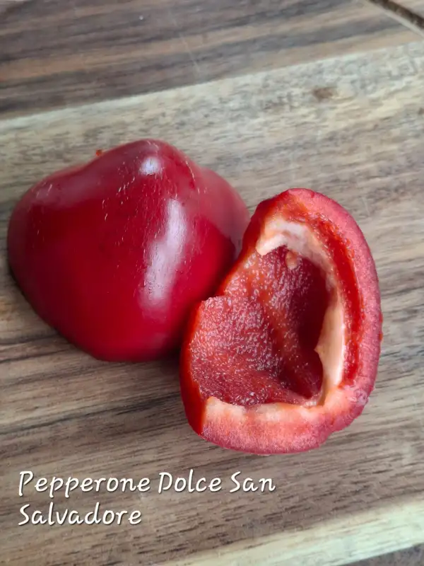 Chili / Paprika: Pepperone Dolce San Salvadore