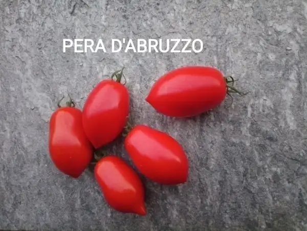 Tomaten: Pera d