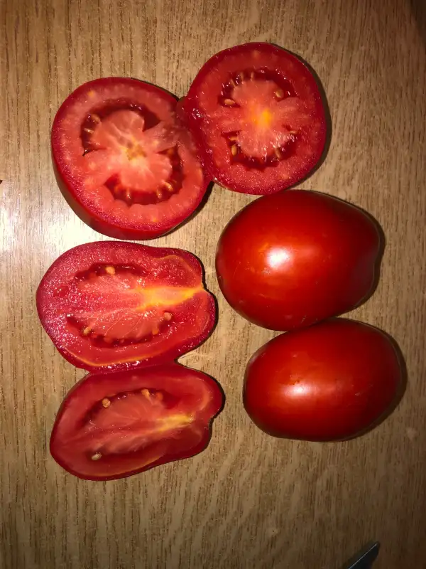 Tomaten: Pera Delta de Camí Mas del Pastoret