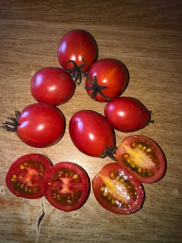 Tomaten: Pereta de Artesa