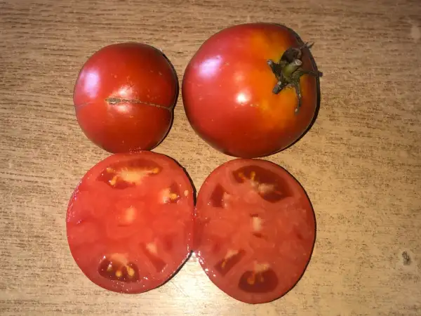 Tomaten: Persej