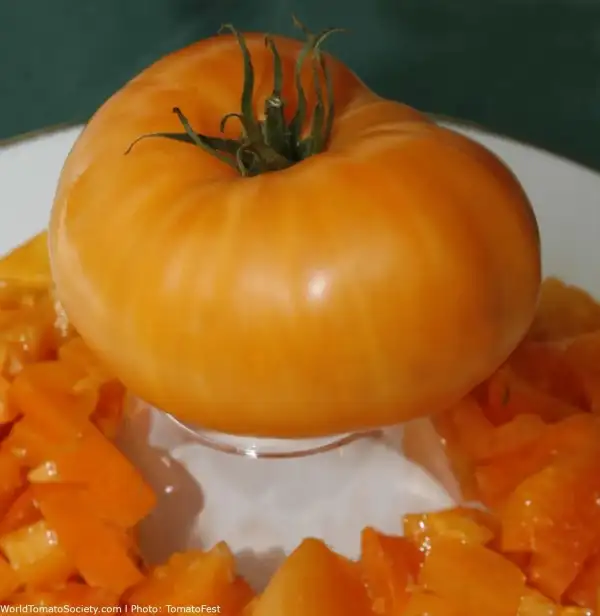 Tomaten: Persimmon