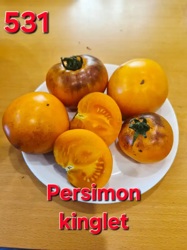 Tomaten: Persimon kinglet