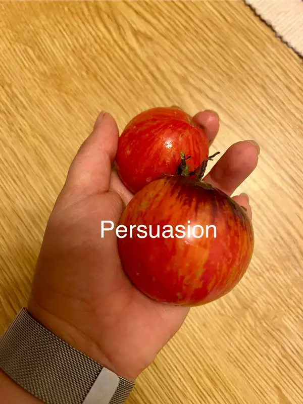 Tomaten: Persuasion