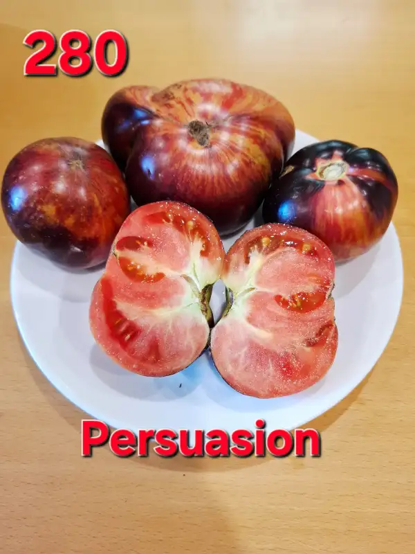 Tomaten: Persuasion