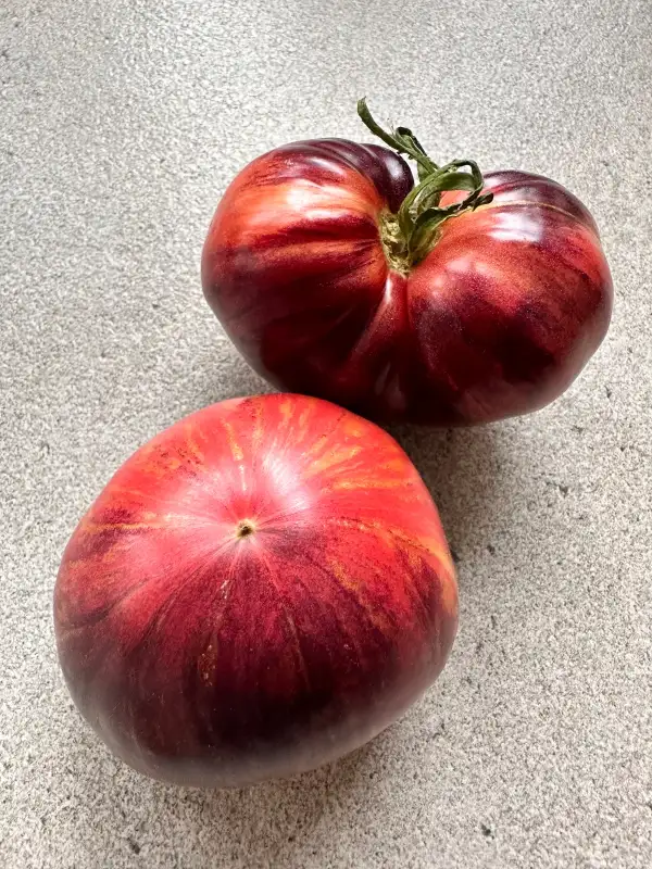 Tomaten: Persuasion