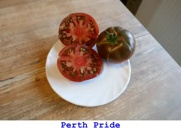 Tomaten: Perth Pride