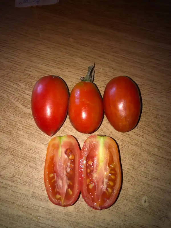 Tomaten: Pertsevidniy Aleksevni