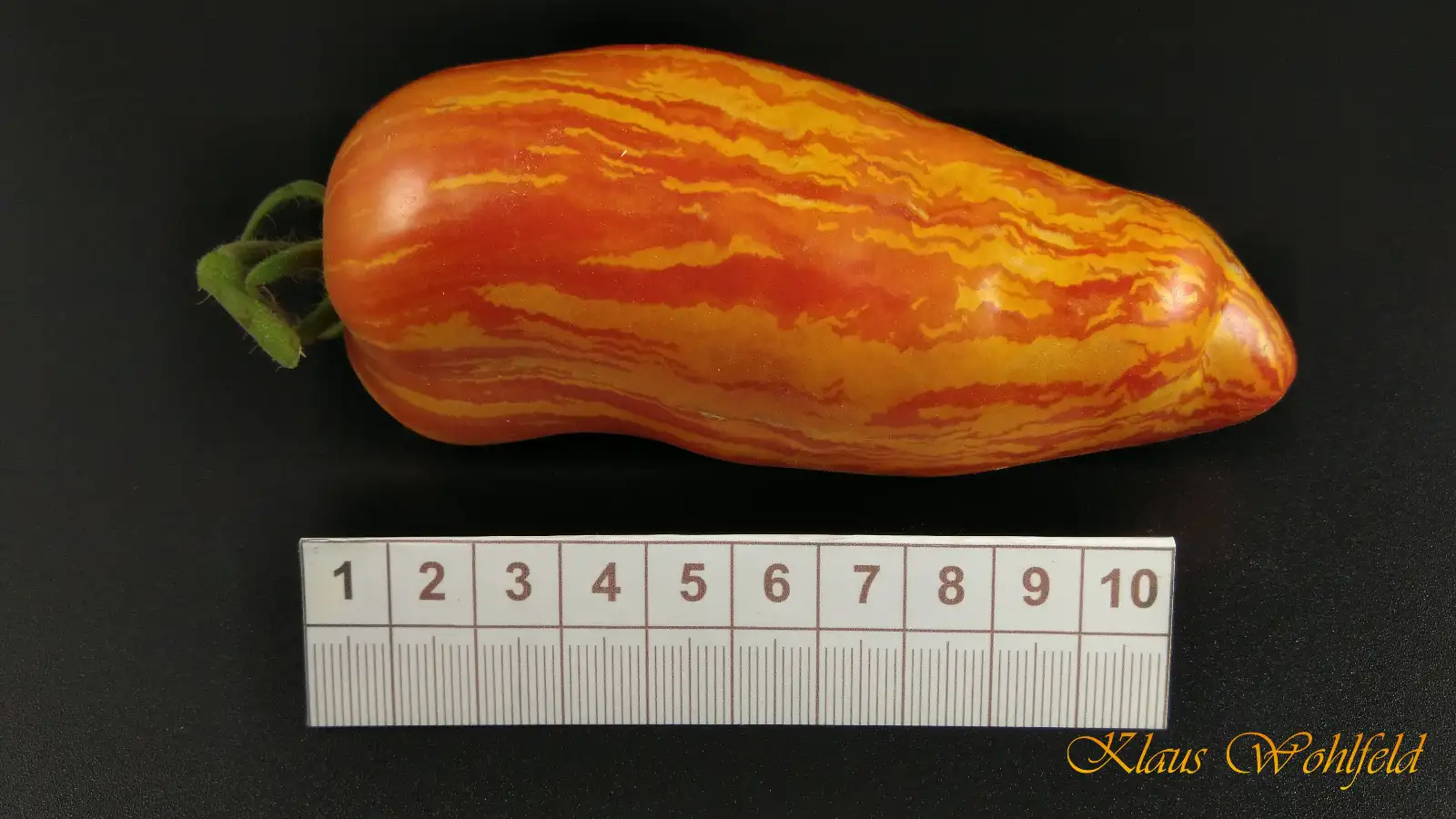 Tomaten: Perzevidnij Polosatij